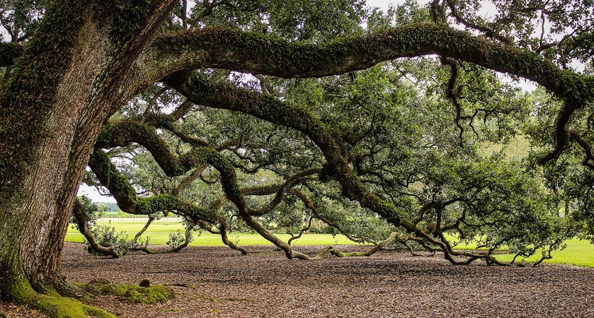 短信压力测试在线网页版